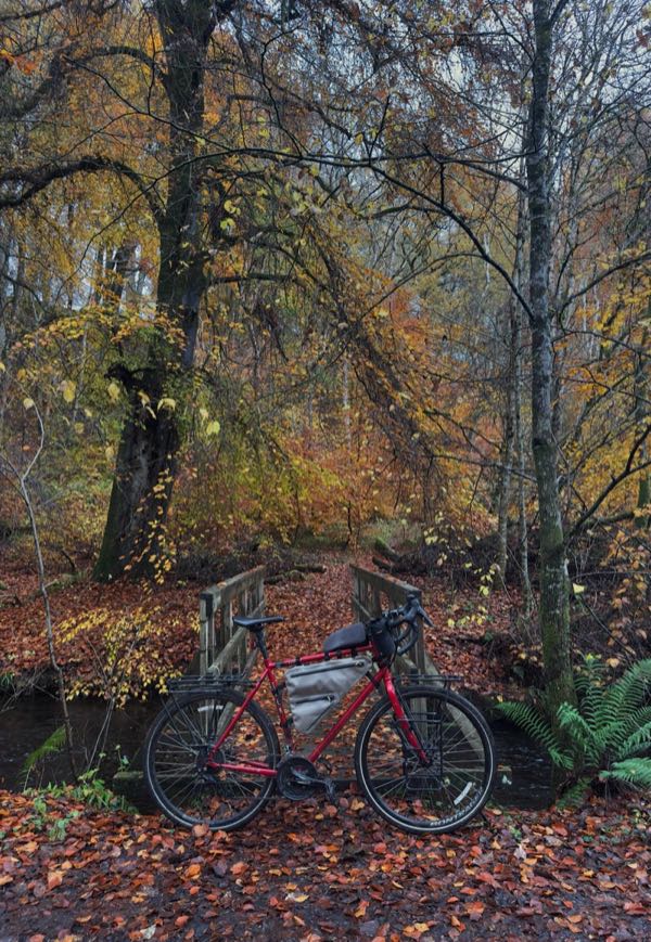 Red bicycle on autumn forest bridge