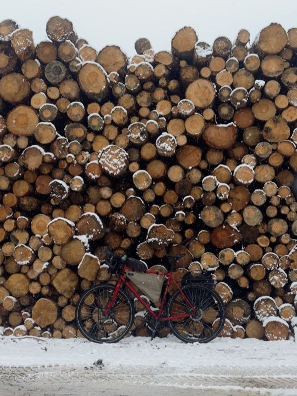 Red bicycle against timber logs