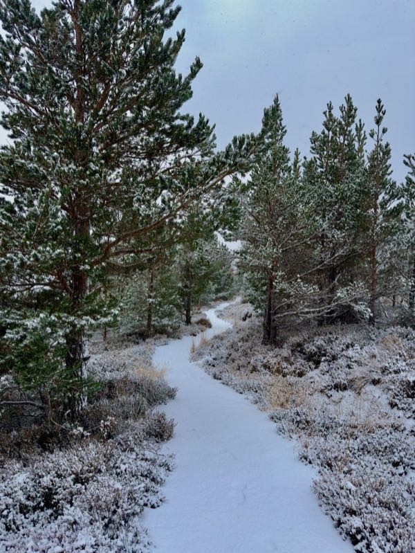 Mountain sunset panorama