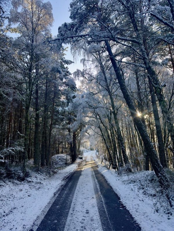 Landscape photograph