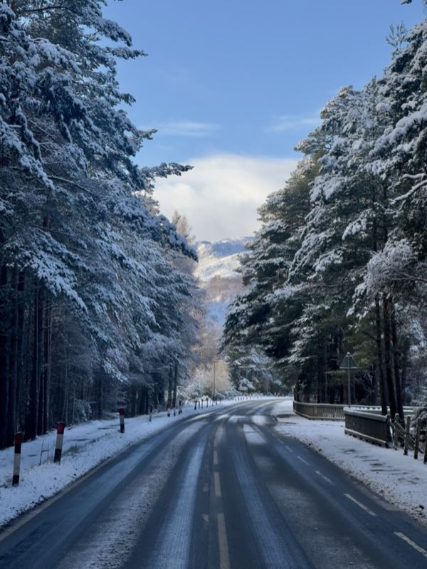 Winter mountain landscape